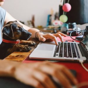 Young woman sitting at the desk at her home, working on the laptop while her puppy pet sits on her lap. Freelancer work from home concepts in casual atmosphere.